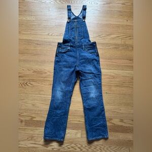 Levi's Blue Overalls
